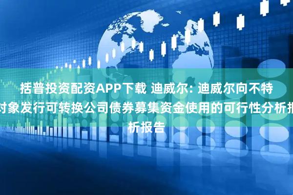括普投资配资APP下载 迪威尔: 迪威尔向不特定对象发行可转换公司债券募集资金使用的可行性分析报告