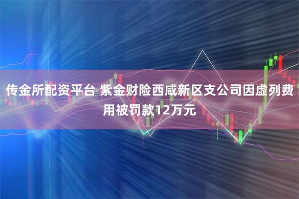 传金所配资平台 紫金财险西咸新区支公司因虚列费用被罚款12万元