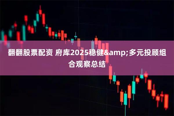 翻翻股票配资 府库2025稳健&多元投顾组合观察总结